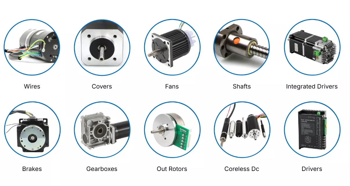Brushless DC motor_1208_643.png